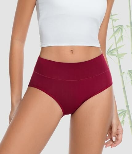 Bamboo Knickers for Women